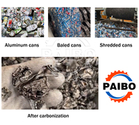 Four de décarbonisation thermique automatique à haute efficacité énergétique pour l'élimination des revêtements de surface des canettes en aluminium