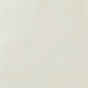 แผ่นผนังกันเชื้อราสำหรับตกแต่งผนังภายในสำนักงานและบ้าน - Product Image 1