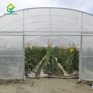 Low <strong>Cost</strong> 200 Sqm Plastic Shed Single Span Vegetable Grow Tent Film <strong>Poly</strong> <strong>Tunnel</strong> Rose Greenhouse - Product Image 2