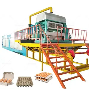 Beston Group BTF4-8 4000 pz/h macchina automatica del produttore di vassoi per uova di carta