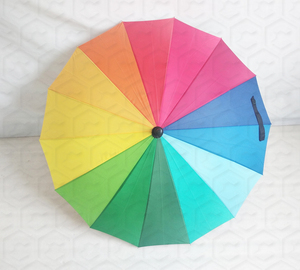 Hermosa de 22 pulgadas paraguas con 16 paneles Arco Iris tela de pongee - Product Image 3