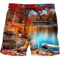Short de bain d'été avec logo personnalisé pour hommes, short de plage en polyester à taille élastique et en maille respirante de grande taille