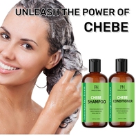 Shampoo à l'extrait de Chebe biologique 250 ml avec logo personnalisé, hydratant, renforce les racines des cheveux, produit de lavage quotidien pour les cheveux