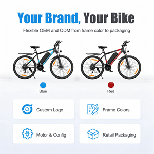 Se Busca Distribuidor: Bicicleta Eléctrica de Montaña de 27.5 Pulgadas, 250W, CE, 48V13Ah, 21 Velocidades, 55NM, Aluminio, Venta al Por Mayor, UE, Reino Unido - Product Image 6