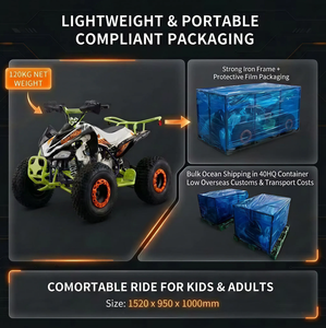 Buggy <span class=keywords><strong>de</strong></span> Playa <span class=keywords><strong>de</strong></span> 125cc y 4 Tiempos, Vehículo Todoterreno <span class=keywords><strong>de</strong></span> 4 Ruedas, 50km/h, Cuatriciclo a Gasolina, Precio <span class=keywords><strong>de</strong></span> Mayorista, Máxima Rentabilidad, OEM, ODM, Gran Venta - Product Image 6