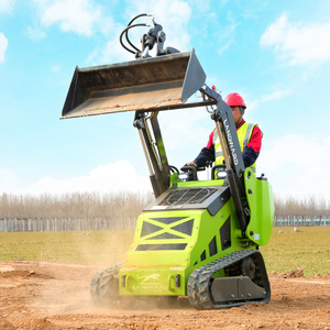 Minicargadora Agrícola Multifuncional de Bajo Consumo de Combustible con Joystick Hidráulico de Alta Elevación, 500 kg, Nueva para Jardín - Product Image 4