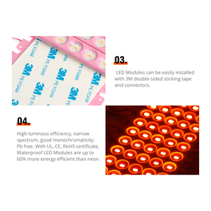 Módulos LED de 5 chips de 1,2 W Módulos de caja de publicidad a todo color 100lm 120 grados DC 24V 100% Satisfecho con el rendimiento de calidad - Product Image 4