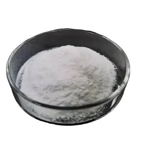 Additif chimique Silane Siloxane Poudre hydrophobe Ciment Béton Colle Imperméabilisation Agent Imperméable Poudre HP-55