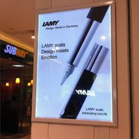 Bandes LED néon et ampoules LED - Alimentation CA, tension de fonctionnement 36V, options de montage mural/autoportant/au fenêtre