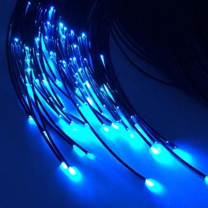 Lampe au lithium spéciale de diamètre du câble 0.5 MM de <span class=keywords><strong>fibre</strong></span> optique rentable durable de <span class=keywords><strong>fibre</strong></span> pour la piscine extérieure - Product Image 4