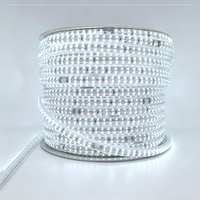 Liquidación de Stock: Tira de LED Impermeable 220V IP65 4000K 6000K, Precio de Fábrica, Oferta Especial, Envío Rápido