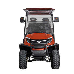 Véhicule de golf personnalisé 6 places avec grand écran, économique, pour le tourisme et les excursions, meilleur prix, certifié DOT - Product Image 1