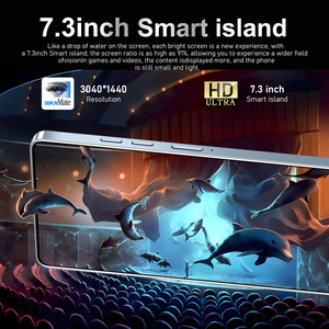 GT10 Pro Smartphones 6.7 pouces HD Plein écran Téléphone <span class=keywords><strong>mobile</strong></span> 108MP Caméra arrière Double <span class=keywords><strong>SIM</strong></span> Support 3G/4G Charge rapide LTE Livraison gratuite - Product Image 3
