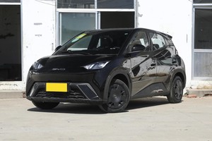 Mouette BYD d'<span class=keywords><strong>occasion</strong></span> - Product Image 4