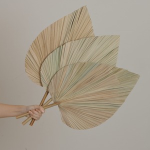 Bất tự nhiên khô lá cọ Spears mộc mạc trang trí đám cưới Hoa khô khô Lá Cọ cho hoa sắp xếp - Product Image 1