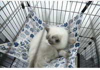 Accessoires pour animaux de compagnie mignons pour l'hiver, vente en gros, hamac pour chat en velours double face, réglable, pour utilisation en cage pour animaux de compagnie