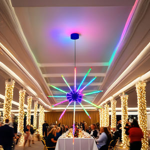 IP65 Rated LED Starburst Firework Lights Popular Holiday Lighting for Shopping Mall <strong>Christmas</strong> <strong>Decorations</strong> - Product Image 3