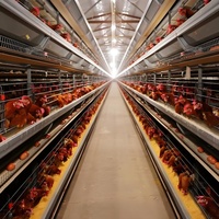 Equipo Eléctrico para Sacrificio de Aves con Funciones de Corte para Mataderos