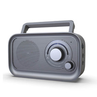 Tragbarer drahtloser BT Lautsprecher batteriebetriebener Ac-Strom Dsp Stecker Am Fm Radio mit bestem Empfang