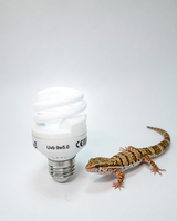 Lampe spirale UVB 9W de haute qualité à économie d'énergie pour reptiles et amphibiens, lampe de supplément de calcium