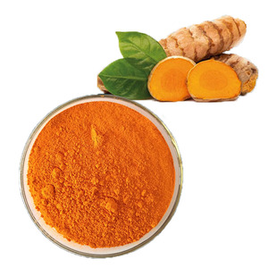 Nghệ chiết xuất <span class=keywords><strong>95</strong></span> <span class=keywords><strong>Curcumin</strong></span> bột nghệ chiết xuất từ rễ bột Curcuma longa <span class=keywords><strong>95</strong></span> <span class=keywords><strong>Curcumin</strong></span> chiết xuất - Product Image 3