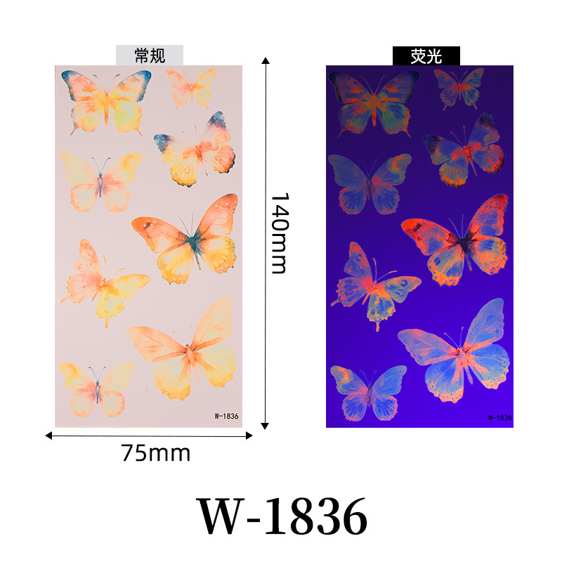 W-1836-75*14cm troquel