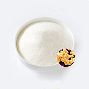 Dareflor RepotflorプロバイオティクスカプセルLactobacillus Coagulans Reflor Coagulans Repoflorタブレット - Product Image 1