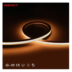 Silicon Neon Flex <span class=keywords><strong>topview</strong></span> 1212 IP67 2835smd DC 24V 5W 10W 8mm ngoài trời trang trí Neon dải ánh sáng - Product Image 2