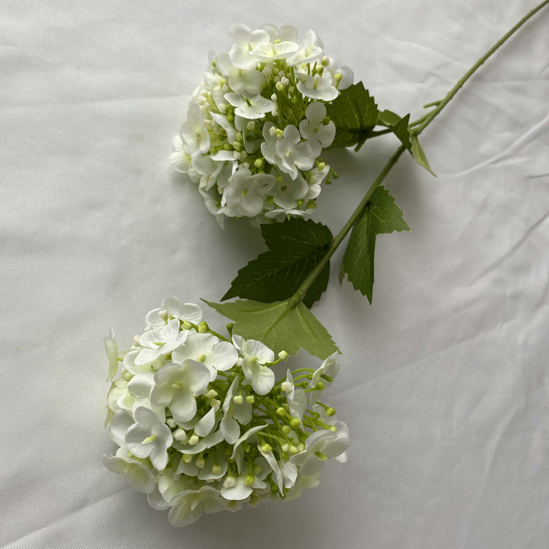 Blanc laiteux