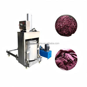 Fruit <b>Juice</b> Hydraulic Presser Stainless Steel Home Commercial Wine Orange Cold Press <b>Machine</b> Extractor - Product Image 1