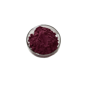 Polvo de extracto de raíz de Salvia Miltiorrhiza Danshen de alta calidad, inulina de grado alimenticio, opciones de embalaje al por mayor, botella o tambor - Product Image 4