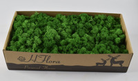 HFlora Mousse de base de renne préservée de haute qualité Nature Real Touch Soft Moss utilisée pour décorer l'art mural en mousse