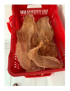 ตีนปลาบาซาแห้งส่งออกคุณภาพจากเวียดนาม - Product Image 3