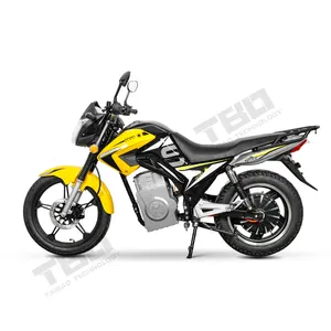 Special design removable replacement battery for adult retro straddle electric motorcycle