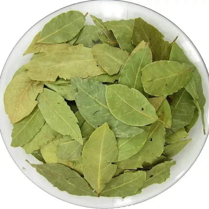 Premium Wholesale Bay Leaf Laurel Leaves Natural Gourmet Culinary Bulk Spices Herbs Products