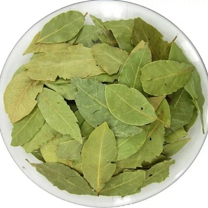 Feuille de <span class=keywords><strong>laurier</strong></span> en gros de qualité supérieure Feuilles de <span class=keywords><strong>laurier</strong></span> Épices culinaires gastronomiques naturelles en vrac Herbes Produits - Product Image 1