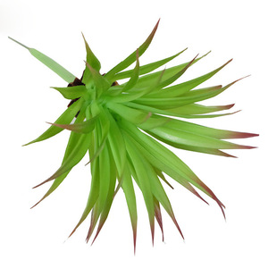 Planta Artificial de Castaño de Agua, Decoración de Pared de Plástico, Verde, Multipieza, Decoración del Hogar, Estilo Moderno QH 48026 - Product Image 5