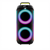 Enceinte de fête portable CSN-FL6625 double 6,5 pouces avec anneau RGB et lumière LED boule disco pour karaoké extérieur