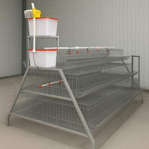 Cages à poulets en métal galvanisé à chaud pour élevage avicole, type A, <span class=keywords><strong>cage</strong></span> commerciale inclinée avec échelle pour <span class=keywords><strong>poules</strong></span> pondeuses - Product Image 3