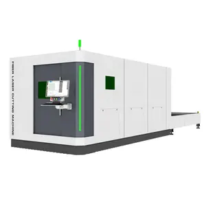 Double Exchange Platforms Fiber Laser Cutting Machine for Steel Plate Economical CNC Laser Cutter 3000W 6000W Metal Sheet