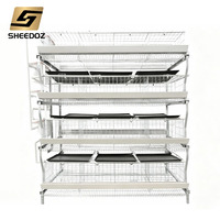 Cage à poules pondeuses de type H pour élevage en batterie, équipement d'élevage avicole pour poules reproductrices