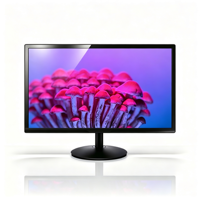 Nieuwe groothandel 19-inch platte TN LED pc-monitor 1440x900 HD+ 16:10 60Hz VGA/ Zwart VESA 75x75 zakelijk gebruik