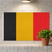 Drapeau belge 90x150cm avec mât en acier inoxydable, drapeau rectangulaire en polyester personnalisable, vente en gros pour divers événements sportifs