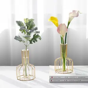 Vaso de ferro nórdico, vaso de água leve de luxo estilo nórdico, vaso de ferro, moderno, para plantas e vidro de mesa, com metal, frwme