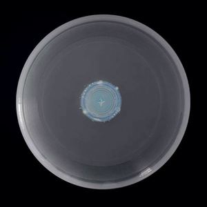 Lanceur de disque volant d'extérieur personnalisé avec lumières LED pour promotion - Product Image 4