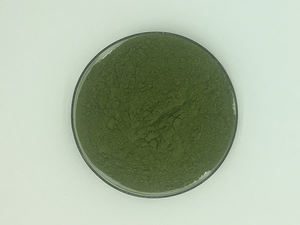 Grosir penjualan terbaik ekstrak kelor alami bubuk daun kelor kering murni - Product Image 4