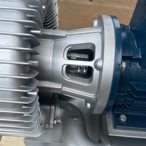 <span class=keywords><strong>Ventilador</strong></span> Centrífugo Industrial <span class=keywords><strong>de</strong></span> Vórtice, Soplador <span class=keywords><strong>de</strong></span> Aire para Estanques <span class=keywords><strong>de</strong></span> Peces, Bomba <span class=keywords><strong>de</strong></span> Aire Industrial <span class=keywords><strong>de</strong></span> Vórtice <span class=keywords><strong>de</strong></span> Alta Potencia - Product Image 4