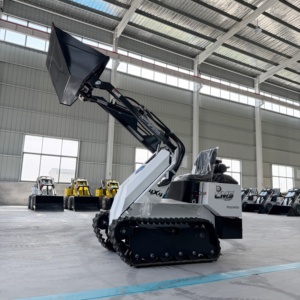 Cargadora Compacta para Todas las Estaciones, Apta para Uso Municipal, Agrícola e Industrial en <span class=keywords><strong>Primavera</strong></span>, Verano, Otoño e Invierno - Product Image 4