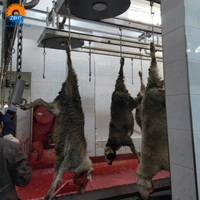 Équipement d'abattage de chèvres pour la transformation de viande halal, ligne d'abattage de moutons pour abattoir halal d'agneaux, pour petit abattoir