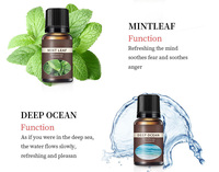 Huiles essentielles naturelles pour la fabrication de bougies parfumées Parfums de haute qualité pour les créations de bougies de bricolage